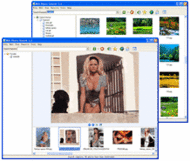 Web Photo Search screenshot